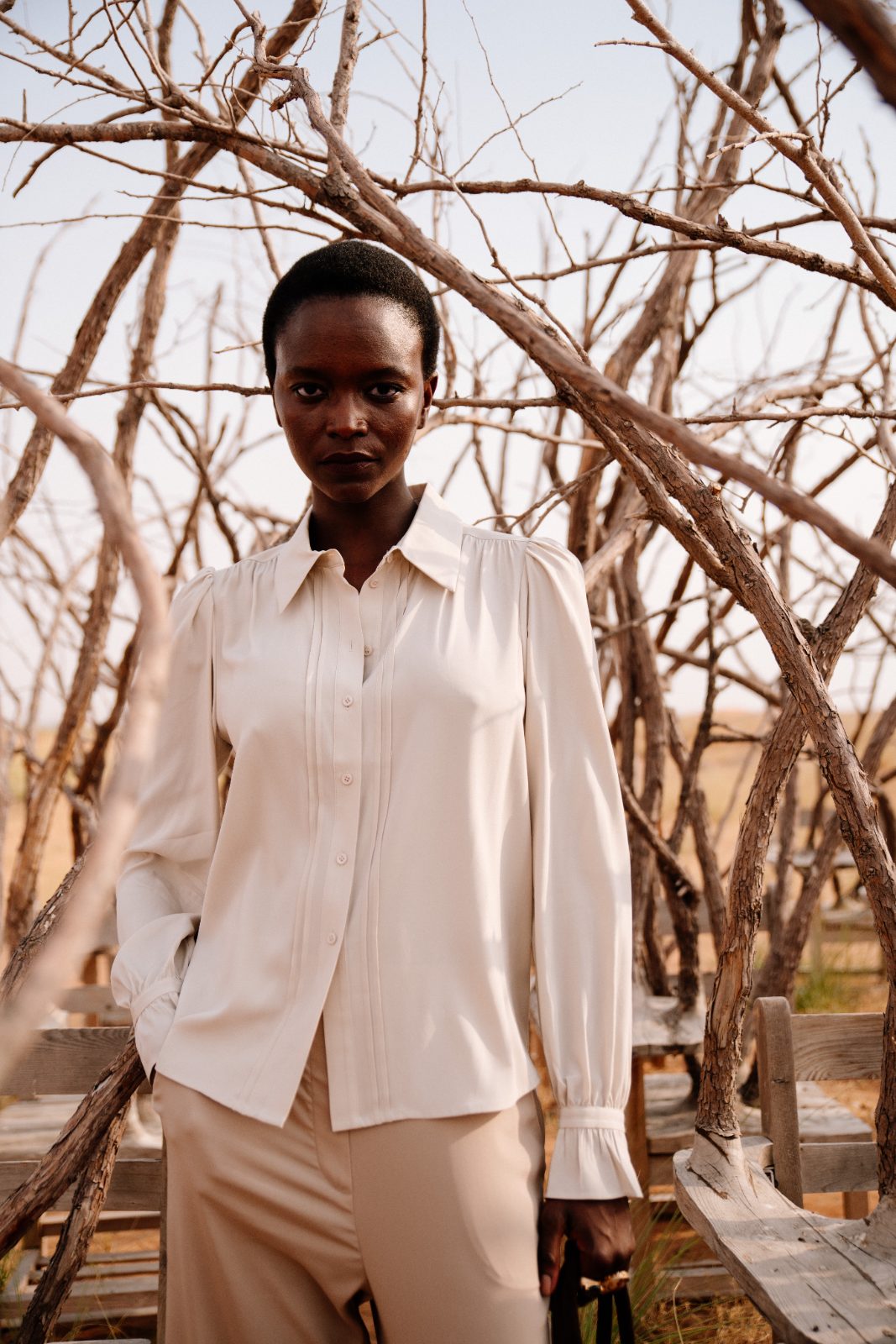 White cotton, close